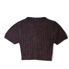 ZARA ブラウン クロップド　半袖　シャギー　ニット S