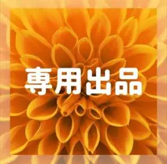 Item thumbnail for item f7eb918f-3101-425b-a31e-c26236f9ab2f