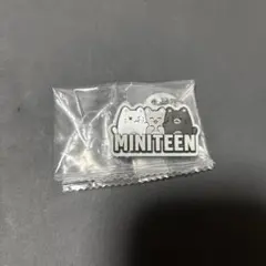 MINITEEN めじるしアクセサリー