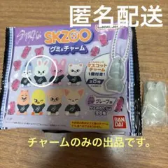 skzoo グミ&チャーム　　リービット　チャームのみ