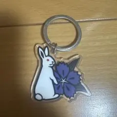 FR2キーホルダー撫子のサムネイル