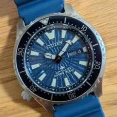シチズン フグ プロマスター 自動巻き FUGU NY0136-52L ダイバー 