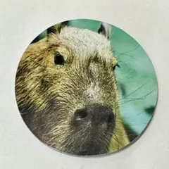 シスカ（プロフ必読）様 リクエスト 2点 まとめ商品