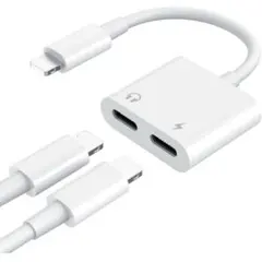 在庫処分！ 2in1 iPhone 変換ケーブル
