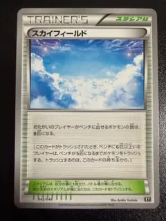 スカイフィールド　XY　042/048　TRAINER'S　スタジアム　ポケモンのサムネイル