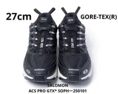 2026年最新】Salomon acs pro gtxの人気アイテム - メルカリ