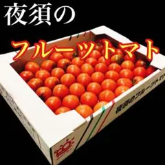 化粧箱入 高知県産 夜須のフルーツトマト約2キロ 20玉から30玉前後
