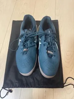 【美品】asics GEL-RESOLUTION X WIDE オールコート