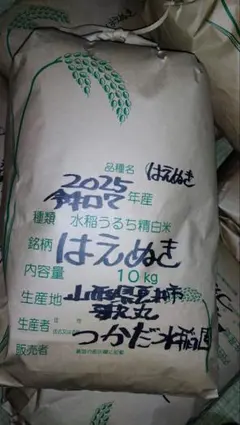 コシヒカリ玄米20kg 令和7年9月収穫 - メルカリ
