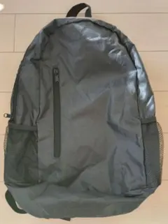 Item thumbnail for item 604cb00a-b615-47ba-9f7c-4b448997c695