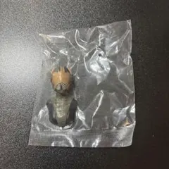 Item thumbnail for item 675d25e5-8aac-4720-be07-5582039d0297