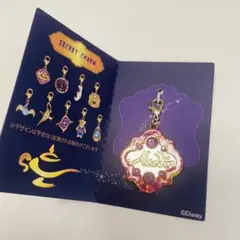 劇団四季「アラジン」　シークレットチャーム