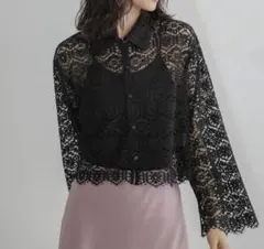 レースシャツブラウス/NANO universe/黒/ショート丈/美品