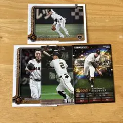 ジャイアンツプロ野球カード