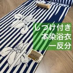 未使用品 綿 コーマ 本染浴衣 夏物 藍染153.5裄62 紺 菖蒲 流水柄