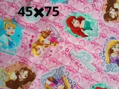 ディズニープリンセス生地 はぎれ　名前シールつき　45✖75cm