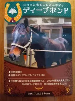 2026年最新】競馬場 京都の人気アイテム - メルカリ