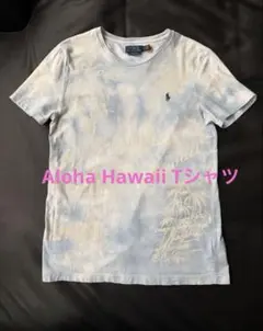 POLO RALPH LAUREN 水色 Aloha tシャツ　半袖tシャツ