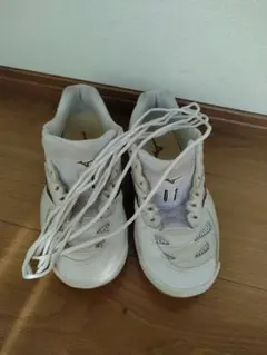 【suka様専用】Mizuno ウェーブファング プロ 25.5cm