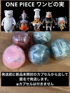 ONE PIECE ワンピの実　ガチャガチャ