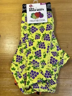 Fruit of the Loom キッズ ボクサーパンツ160 2枚 ブリーフ