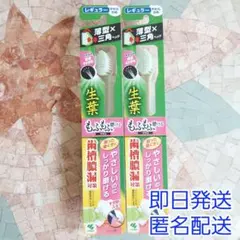 小林製薬 生葉 もふもふ磨ける歯ブラシ レギュラー やわらかめ 2本セットのサムネイル