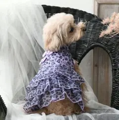 ANNA SUI 紫 ヒョウ柄 犬用ドレス Mサイズ
