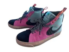NIKE BLAZER SB 25.5cm ナイキブレーザー