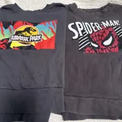 ジュラシック・パーク スパイダーマン トレーナー マーキーズまとめ売り 110