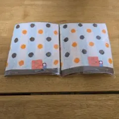 Item thumbnail for item 25f5004e-1914-4cac-b5a7-e8363071e17c