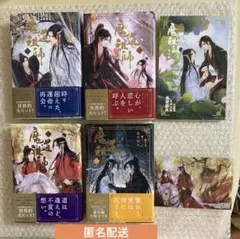 魔道祖師♦︎小説 全巻セット 限定版あり♦︎シュリンク付き 新品未開封 2025年最新】魔道祖師 小説 全巻の人気アイテム - メルカリ