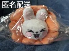 StrayKids SKZOO ポップアップ ペンケース リービット