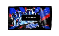 矢沢永吉スペシャルビーチタオル