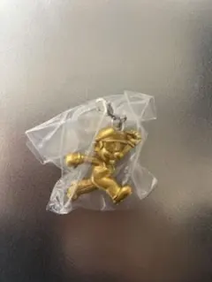 めじるしアクセサリー　マリオ　シークレット