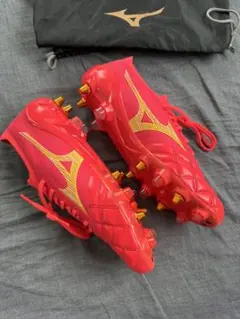 Mizuno モレリアNeo 26.5