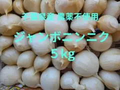 送料無料!! 2026年産 無農薬 バラニンニク 5kg ニンニク 5キロ - メルカリ