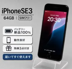 【訳あり】iPhone SE（第3世代）64GB バッテリー100%