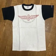 Item thumbnail for item 4ae4ee83-a744-4ad4-aa75-cf85733d81e0