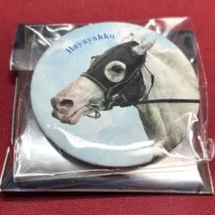 2026年最新】ハヤヤッコの人気アイテム - メルカリ