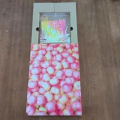 希少　未開封　BLOOM スクイーズ THE PEACH 平成レトロ　レア 希少 未開封 BLOOM スクイーズ THE PEACH 平成レトロ レア - メルカリ