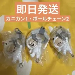 SKZOO つまんでつなげてますこっと フォクシニー　スキズ　アイエン