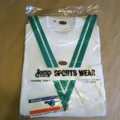 Item thumbnail for item 6c084d60-7f7a-4da7-a307-8d06093a3900