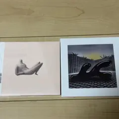 廃盤品 OGRE YOU ASSHOLE 自然とコンピューター アナログ - メルカリ