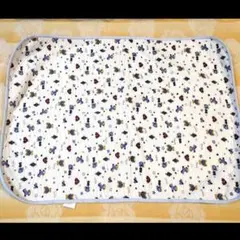 Item thumbnail for item 0ac78eb7-73ce-4153-b213-ceafb650ec80