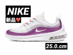 新品♡未使用NIKE ビジブルMax Air♡