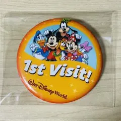 WDW フロリダ　ディズニー　ワールド　缶バッジ　ミッキー　アメリカ　缶バッチ