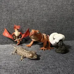 爬虫類 ドラゴン フィギュア セット
