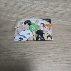 ハイキュー展 マグネットステッカー 烏野一年