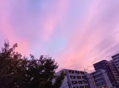 2025年最新】リーメント mini sweetsの人気アイテム - メルカリ