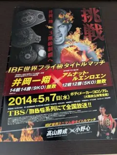 IBF世界フライ級タイトルマッチ カタログ